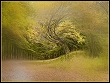 groesseres bild