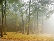 groesseres bild